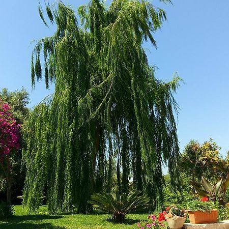 La Casa Dei Sogni Bed and Breakfast Συρακούσες Εξωτερικό φωτογραφία