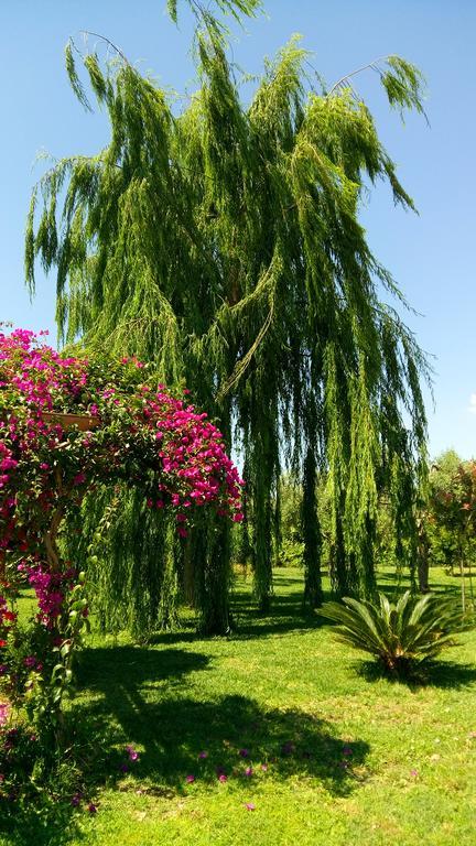 La Casa Dei Sogni Bed and Breakfast Συρακούσες Εξωτερικό φωτογραφία