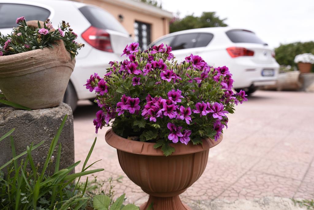 La Casa Dei Sogni Bed and Breakfast Συρακούσες Εξωτερικό φωτογραφία