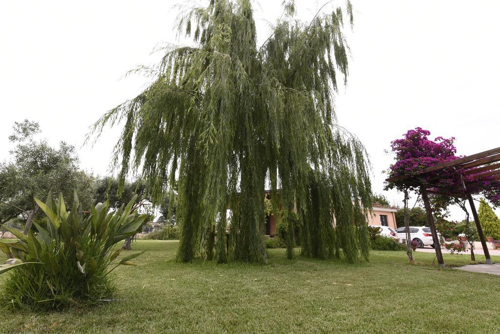 La Casa Dei Sogni Bed and Breakfast Συρακούσες Εξωτερικό φωτογραφία